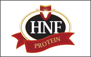 HNF Protein